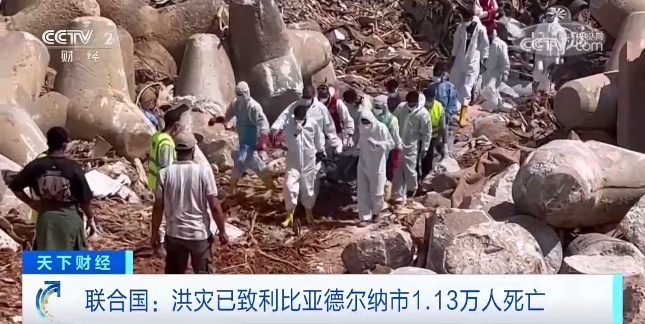 存10送38彩金白菜